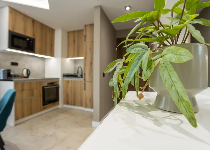 Polejanov Daire Razlık